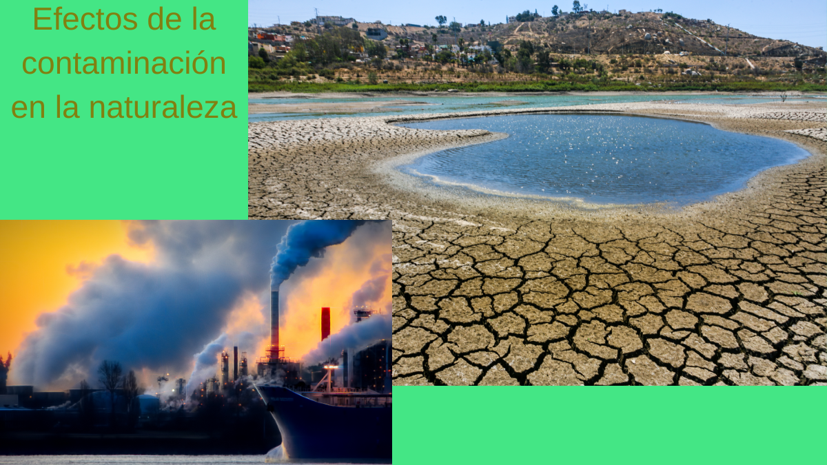 Efectos de la contaminación en la naturaleza. RD...