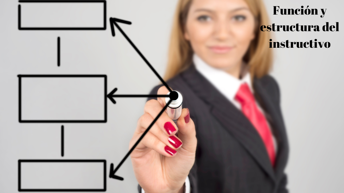 Función y estructura del instructivo. RD..